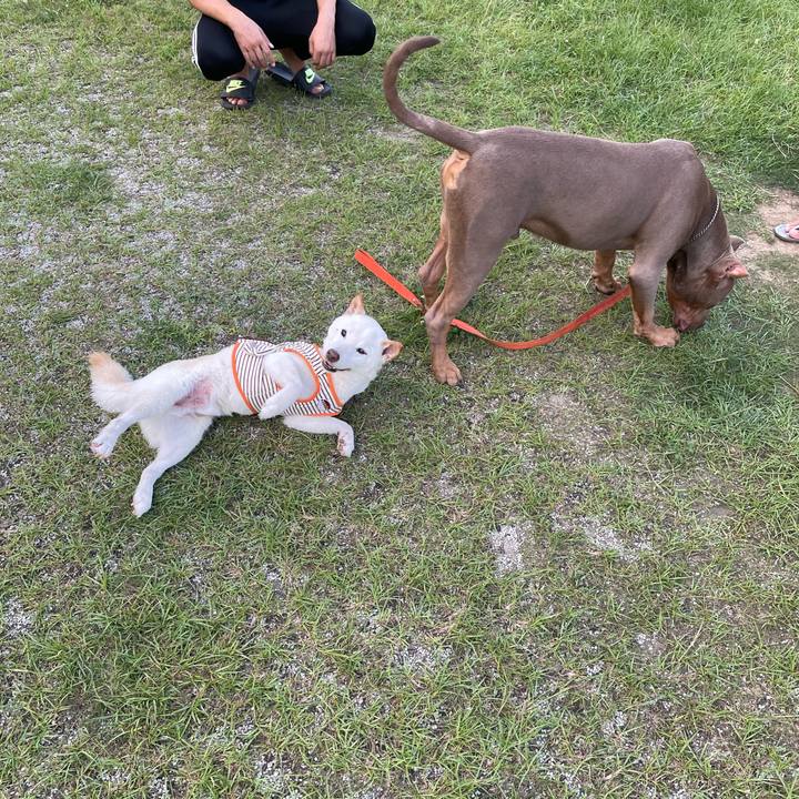 4d6d8ffe 09d7 4f2f a2ff b1e17b38ed3d 1656506584272