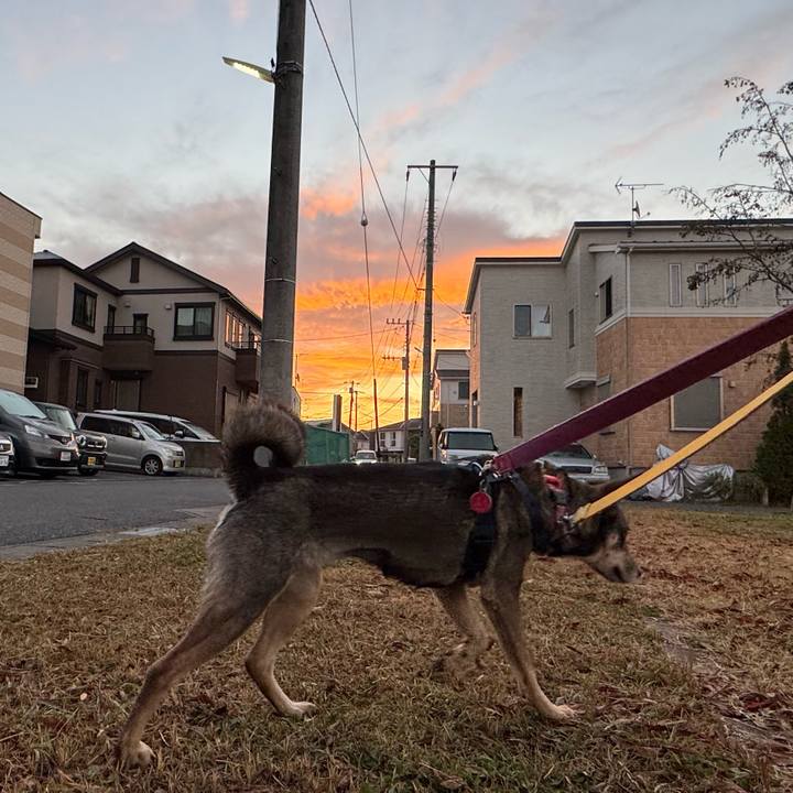 4d6d9f1a 89ea 4445 b4f6 5133e8883d41 1764547198820