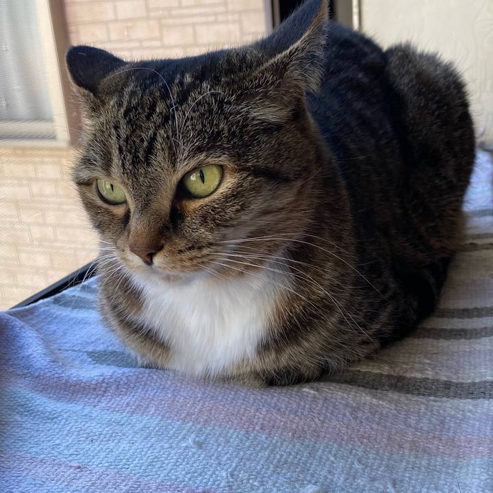 4d6db149 db5d 43f4 b6f4 9d517fd4db6d 1615793930388