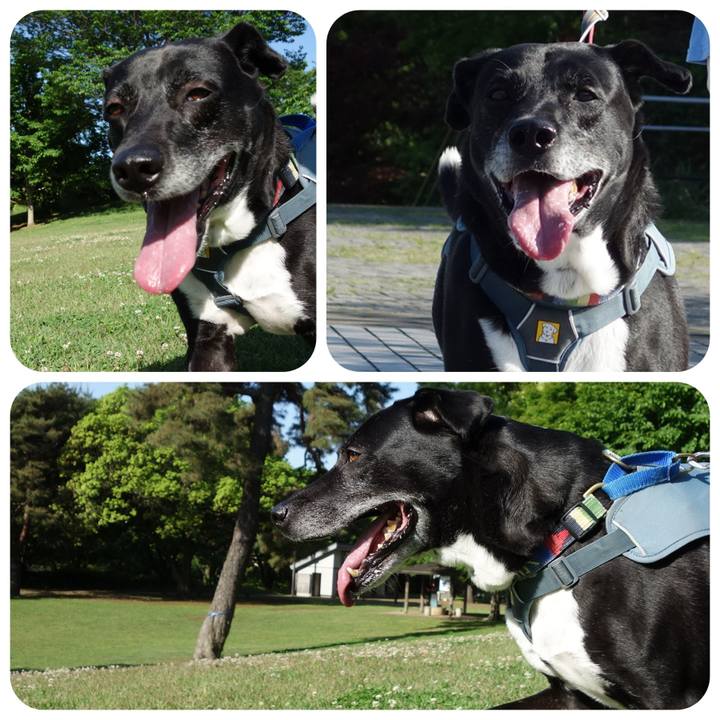 4d6dd554 3f05 4c0f a905 744e77ee11d5 1714869119034