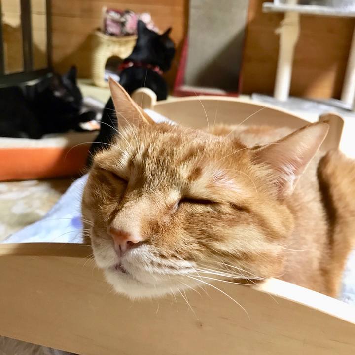 4d6e1b10 1fbd 41b1 a85c 61a01fd8489f 1553953408326