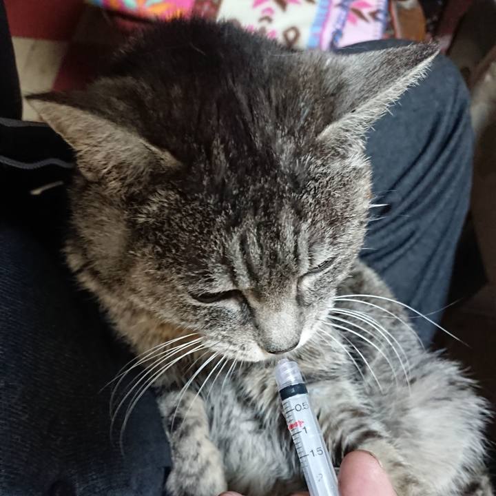 4d6e36d7 11bc 40b2 b344 f04b59c5002a 1578434260345