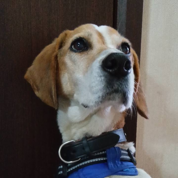 4d6e95d3 536a 4a89 9ea6 57463d88d947 1745326466614