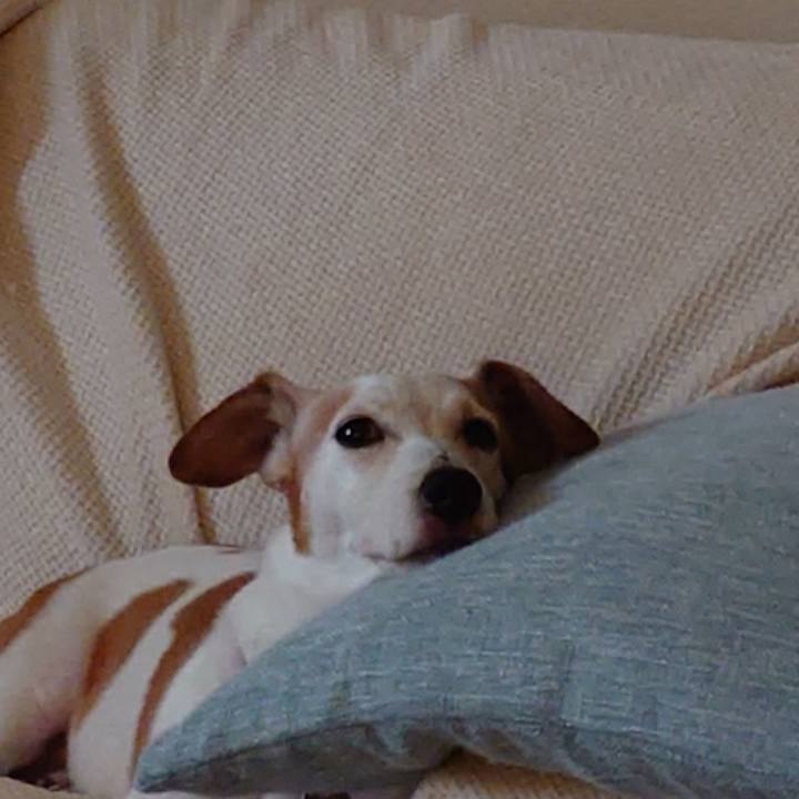 4d6ecccf b40a 4c2b 83f4 74113cb013b0 1757936789875