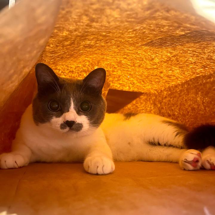 4d6f10f6 1835 4a39 be37 637af6da6761 1719158966206