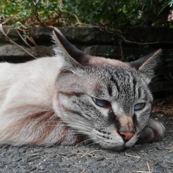 4d6f14b7 945d 4765 ba74 5de4055fc875 1591945772289