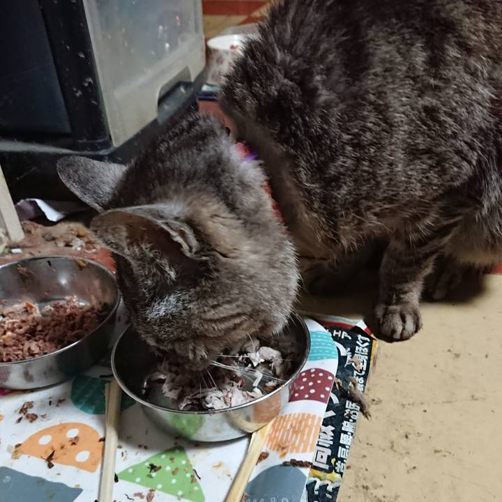 4d6f5a5f 8515 4a50 95ec 869eecbcdb83 1590576125246