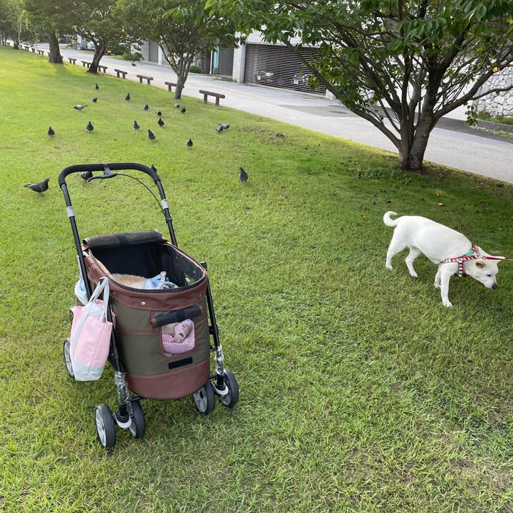 4d6f72a0 d19a 4c36 abae 7be3af8ef2f3 1660657551514