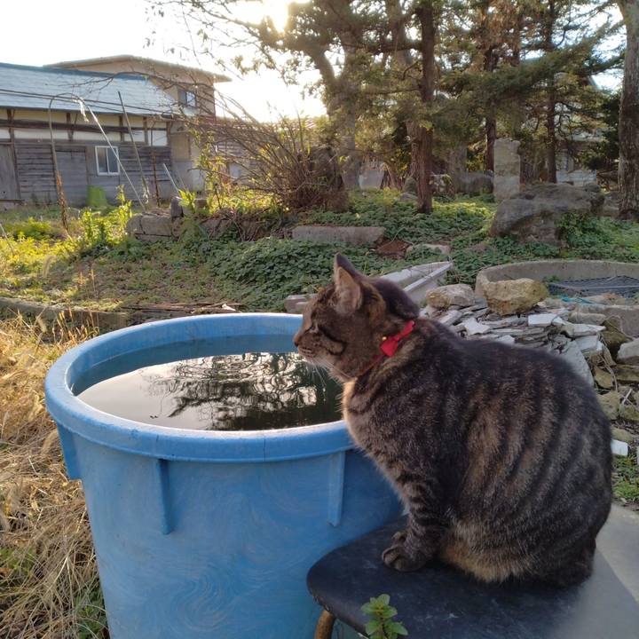 4d6f8536 c816 4e8a ba7e 8b5404958984 1669877644857