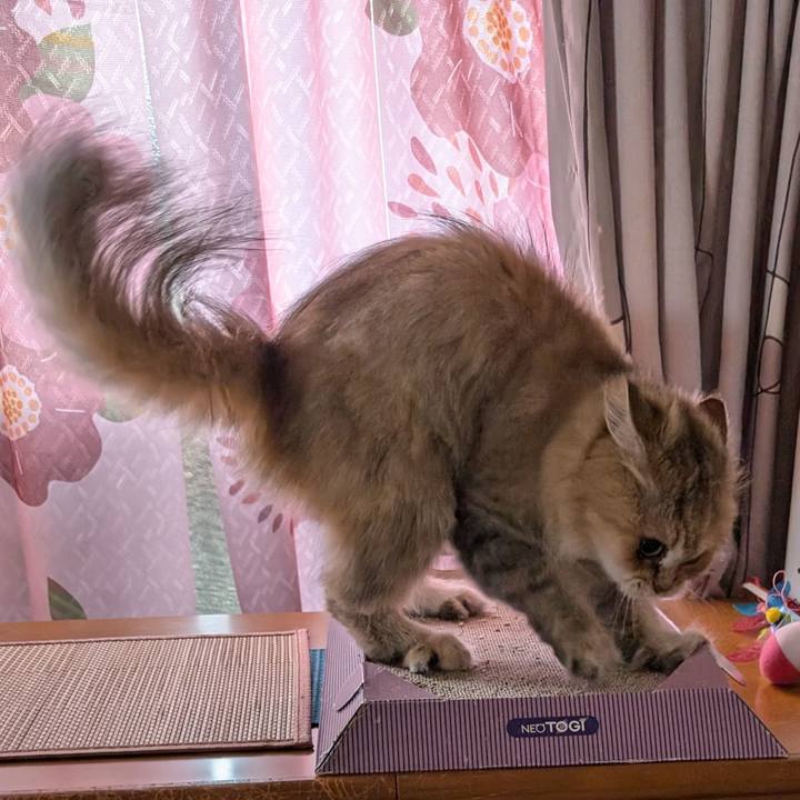 4d6fa24f 763e 4c64 879e d9aa8f4eb1c8 1725231356845