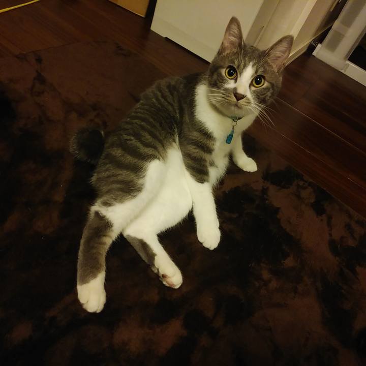 4d6fa628 29dc 47c9 9000 123a049f488c 1578927220905