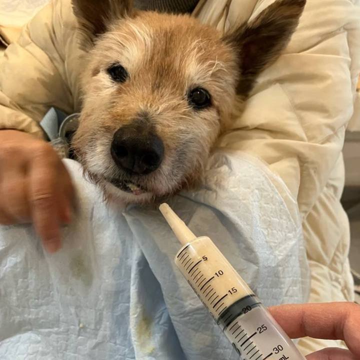 4d6fc875 983a 4fc0 91a3 cbaf5163fdcf 1770618034117