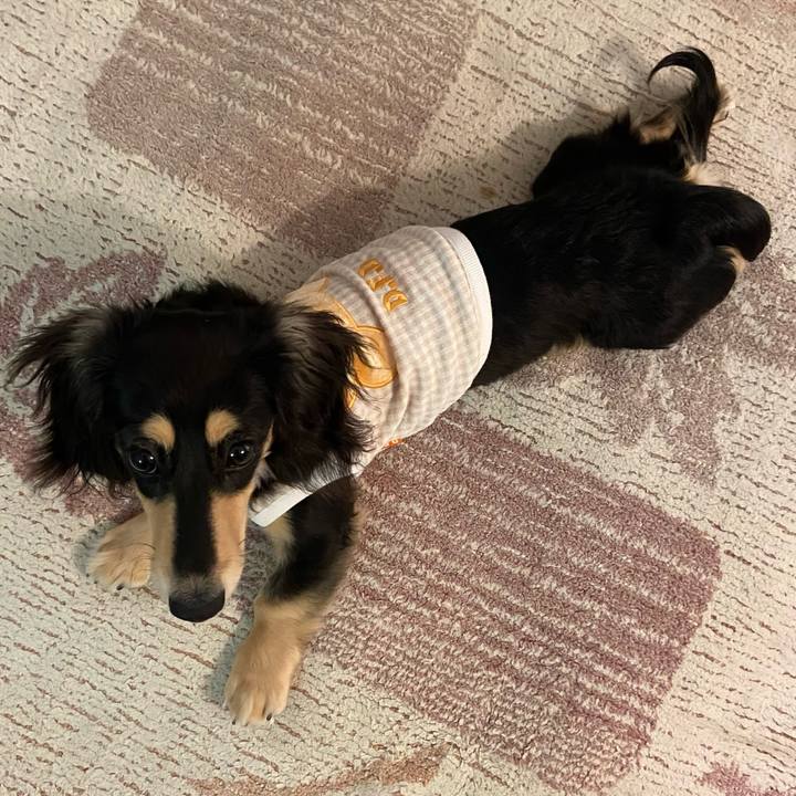 4d6fd521 bcff 472d 9dfe 937df2f256cf 1676338355502