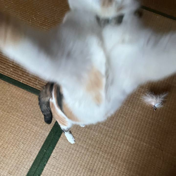 4d6fec83 7f01 47c4 a053 b55437d92686 1769911216647