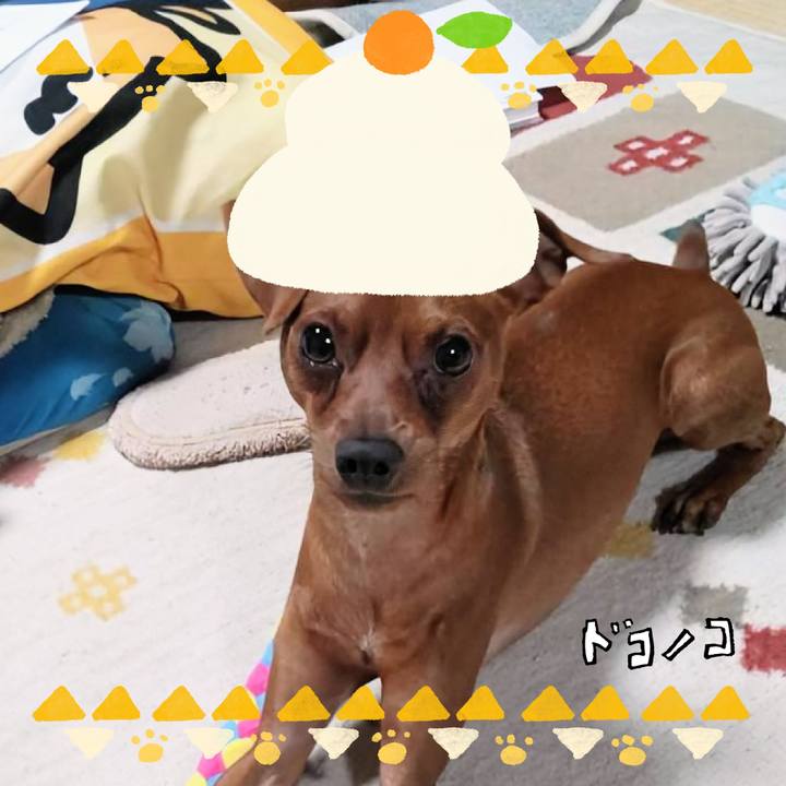 4d70189a 54c7 4934 a926 2d6d022debef 1704339018181