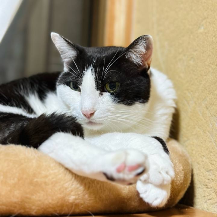 4d703940 c2da 402d be68 a549b0f54493 1716341926080