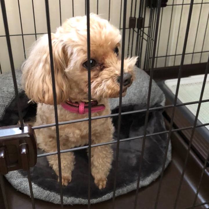 4d703bee d01d 437a 8cfa ad5edb7e0231 1680781520172