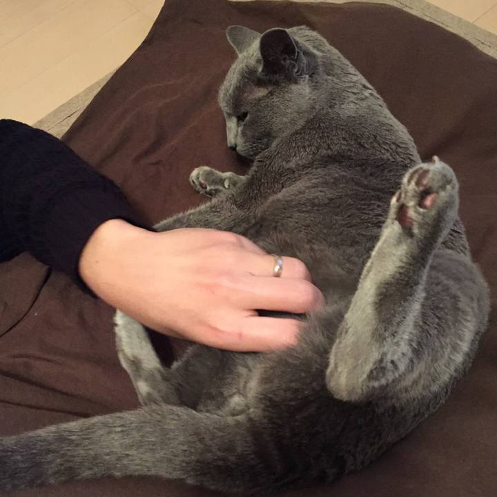 4d707fac c37d 42dd 987b 3c7dbd18a420 1518650124374