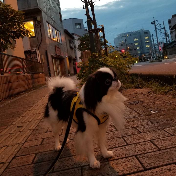 4d709718 85f7 489b b2ca 3cd05d85e31a 1660644555313