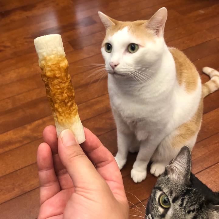 4d70a2fe bb64 4a9f 9ecd b10aa7f3b870 1627780278768