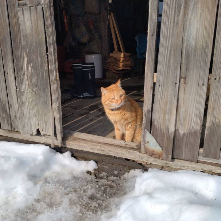 4d70e278 7fe1 45b9 95f9 fe41191e50bc 1673148017164