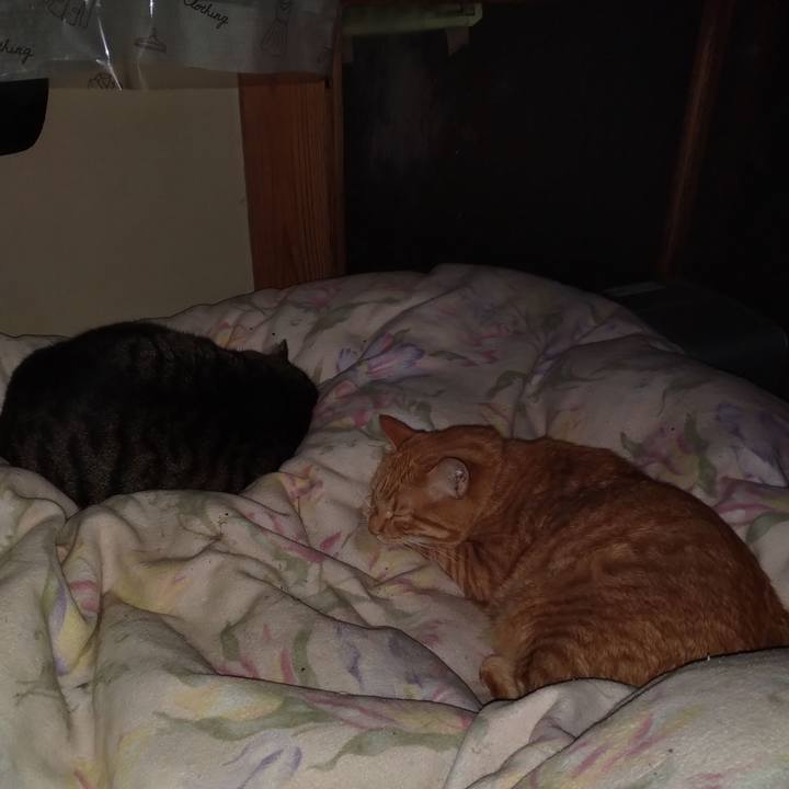 4d70f023 e8b9 47b8 aa6b 6f1708632d6b 1696699442068