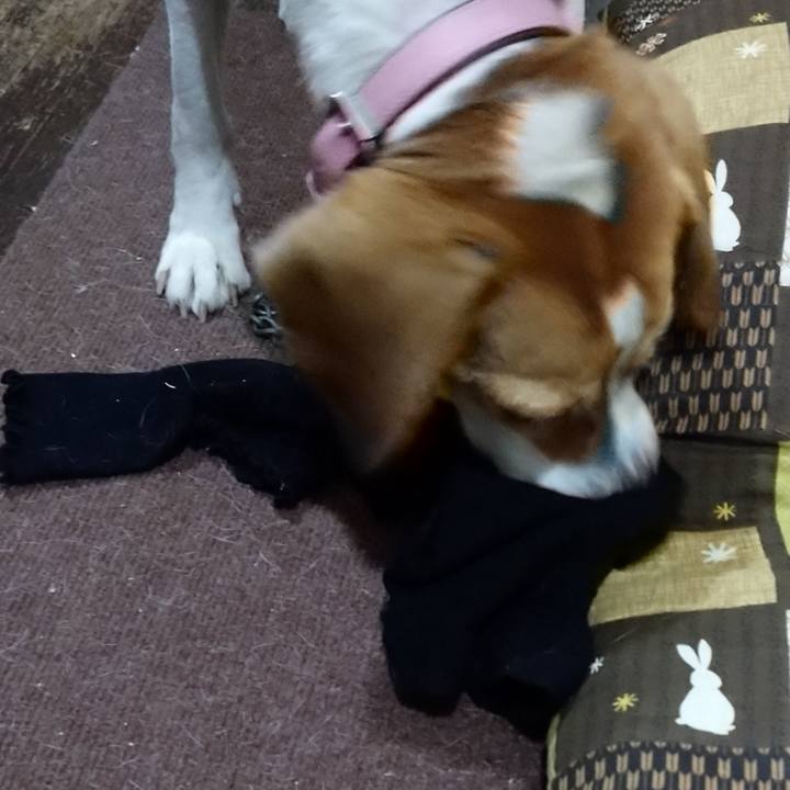 4d7194e5 7e7f 44f0 a712 e71a9b6ac48e 1579511168202