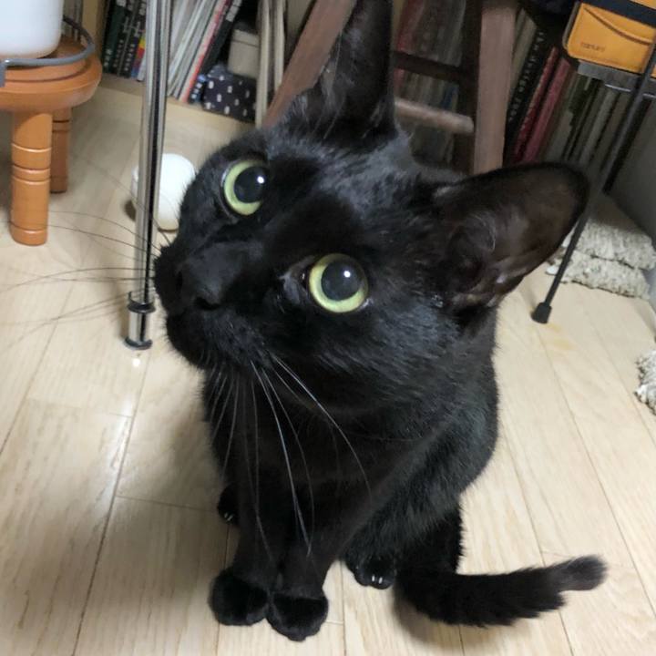 4d71b22a 4187 44f9 9610 c4b4ffa2bc56 1615387102333