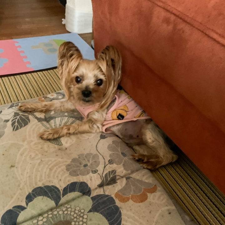 4d71bc89 9f89 44d1 9d6f 4e948fef7d05 1622282496542