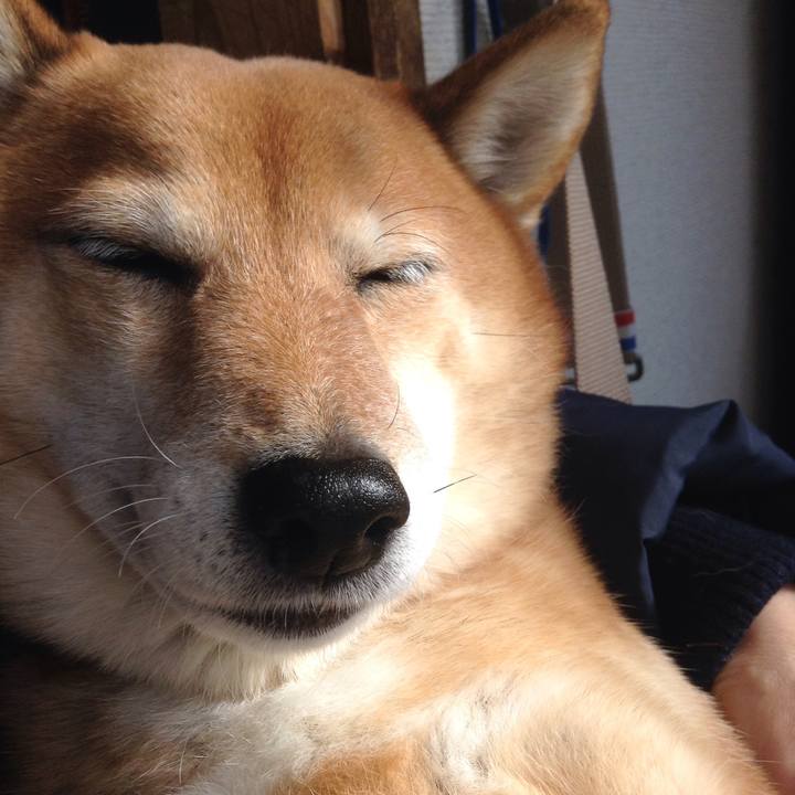 4d720662 aede 4eae 8c27 a5122ebd22b9 1545368775665