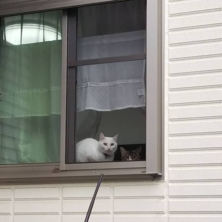 4d7211b1 56c0 4b05 8bc4 6b485e60f9ac 1652737432039