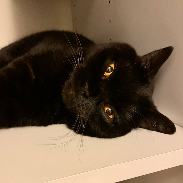 4d723a94 2690 4076 8151 5cbd00f8d50d 1696256111545