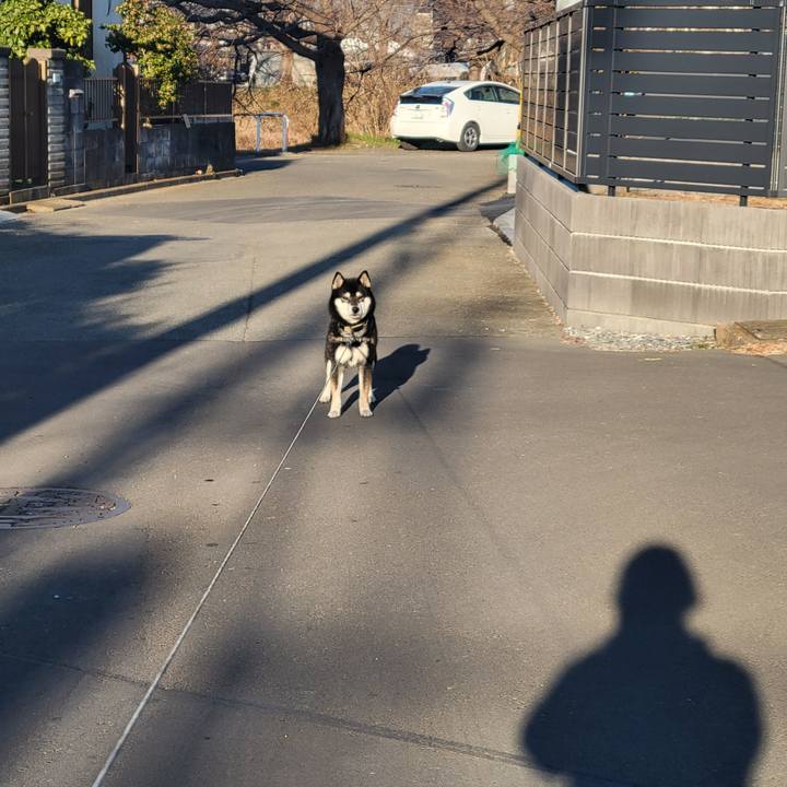 4d724898 6bb0 4851 bbcd b223f5f45f8c 1769987696893