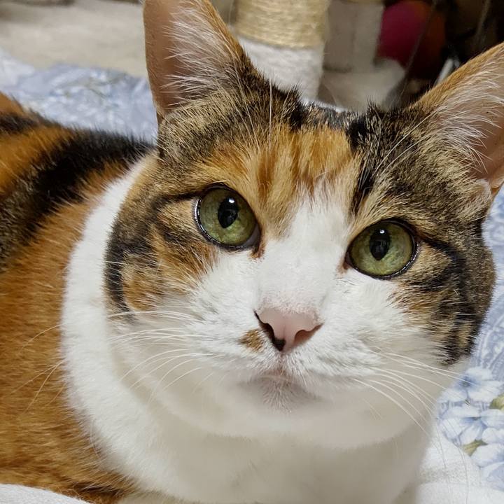 4d725085 68b7 4491 af55 18b8192218e7 1596972861642