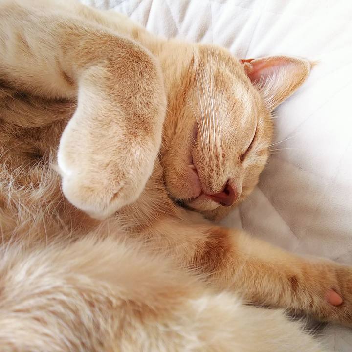 4d726200 6802 4c14 bf8f 63ef6f0ca0b1 1659830087117