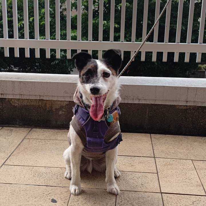 4d72aa07 8254 4865 8b0d e24d00023fec 1717770726180