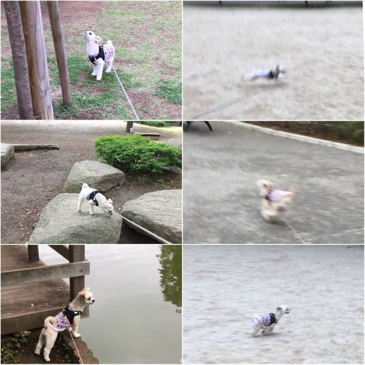 4d72cd6d 76f2 4eca b660 d87dce3def00 1529035747042