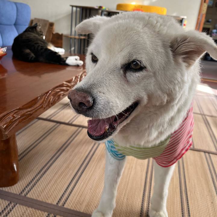 4d72d3a5 b238 4524 9d93 e54c4f6dd5f9 1760485847801