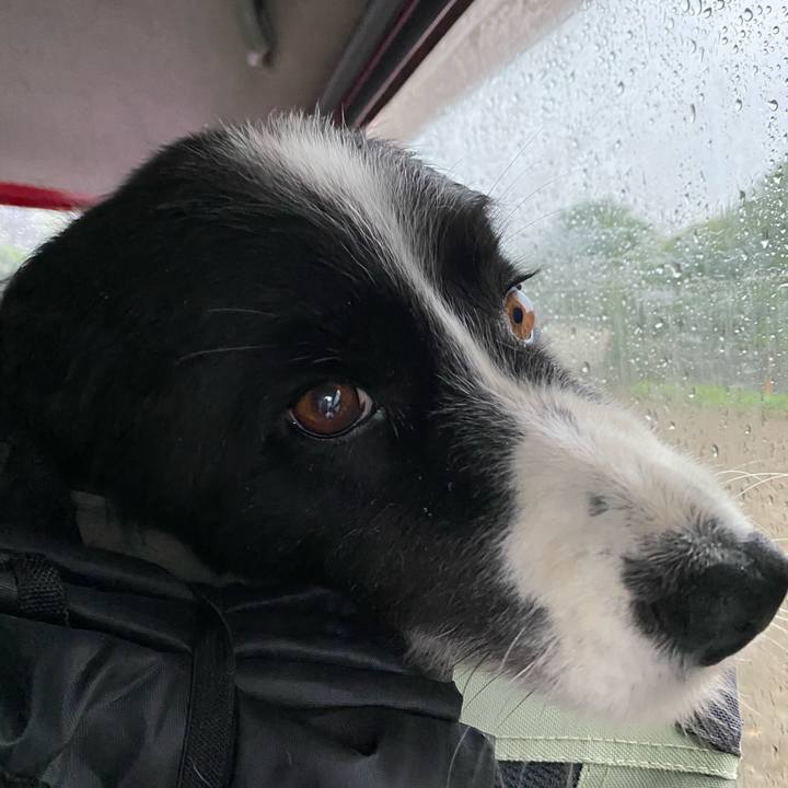 4d72d6f2 a802 405d 9a53 5560820a0f88 1592431164932