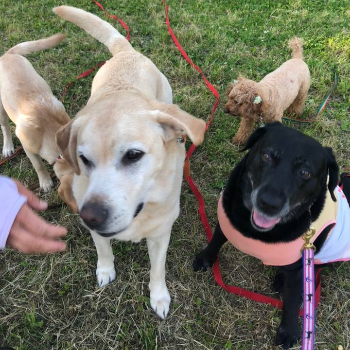 4d72eefb 150b 4de8 9011 90ac1c1e79dd 1558689232563