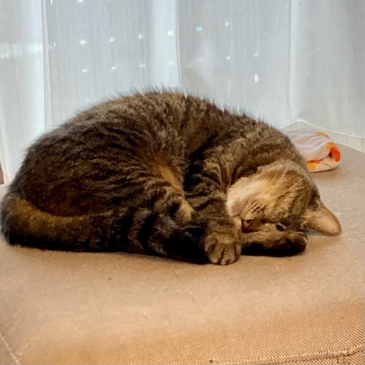 4d72f10b 7ce8 4f59 b79e 7f6233fdc045 1679726325940