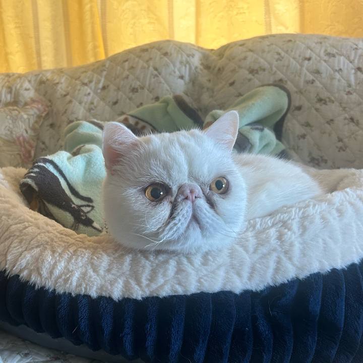 4d72f46f 4860 46c7 9310 63cf4e32d84c 1772451216893