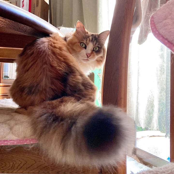 4d72f569 8393 4cce 9bf9 cd8ba519412f 1659167671622