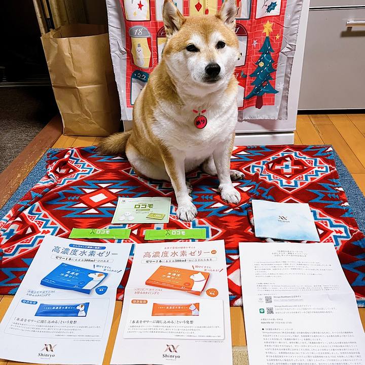 4d736484 6d71 4a10 8249 7ba56df8a607 1670148764755