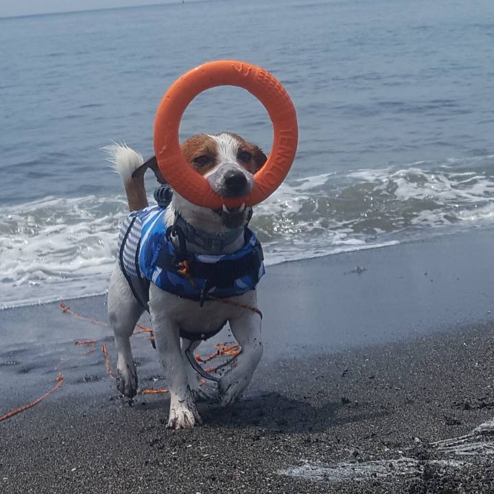 4d73dcec f799 4ca7 86d5 04e98dabd1c2 1595394246183