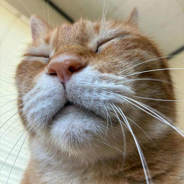 4d73f80a cd35 410f 9f08 524140102cad 1751669326079