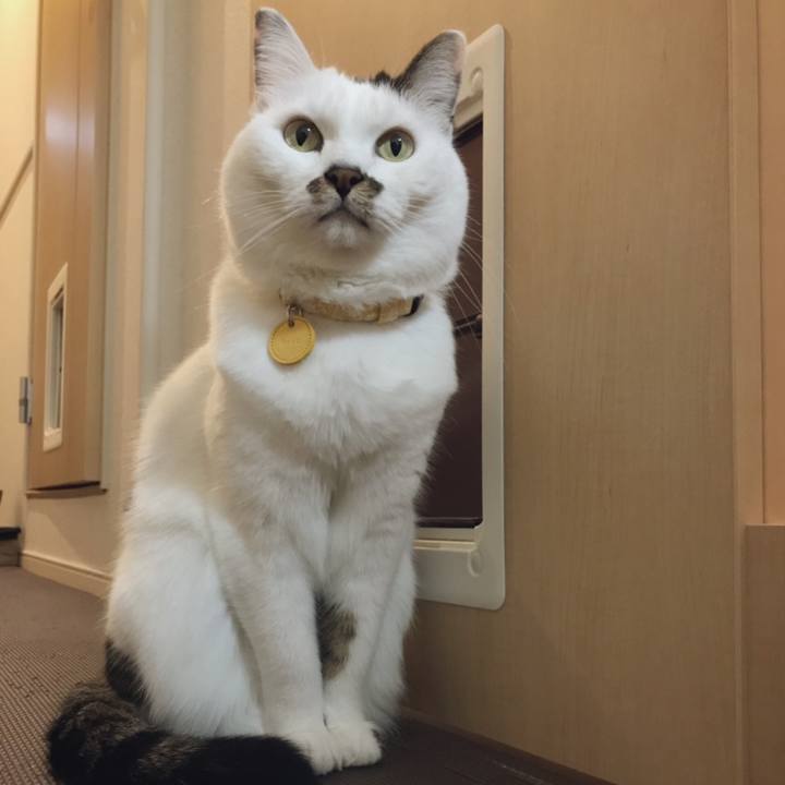 4d73f930 8f9f 45b3 87ff 30c9cdbab520 1544938911450