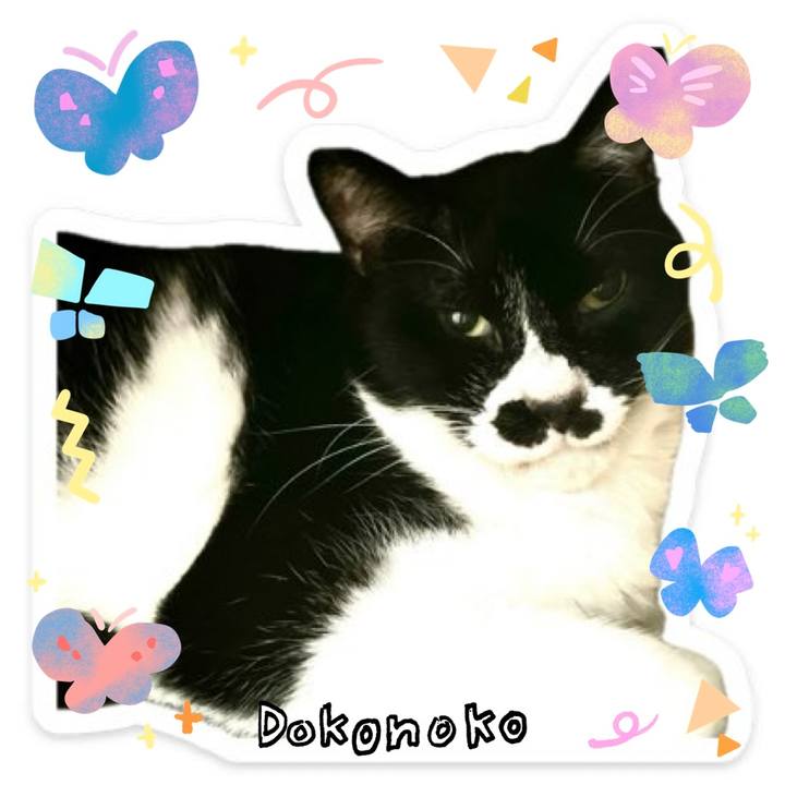 4d7407ed 70ab 47a3 9617 a2508b6a819b 1711585882521