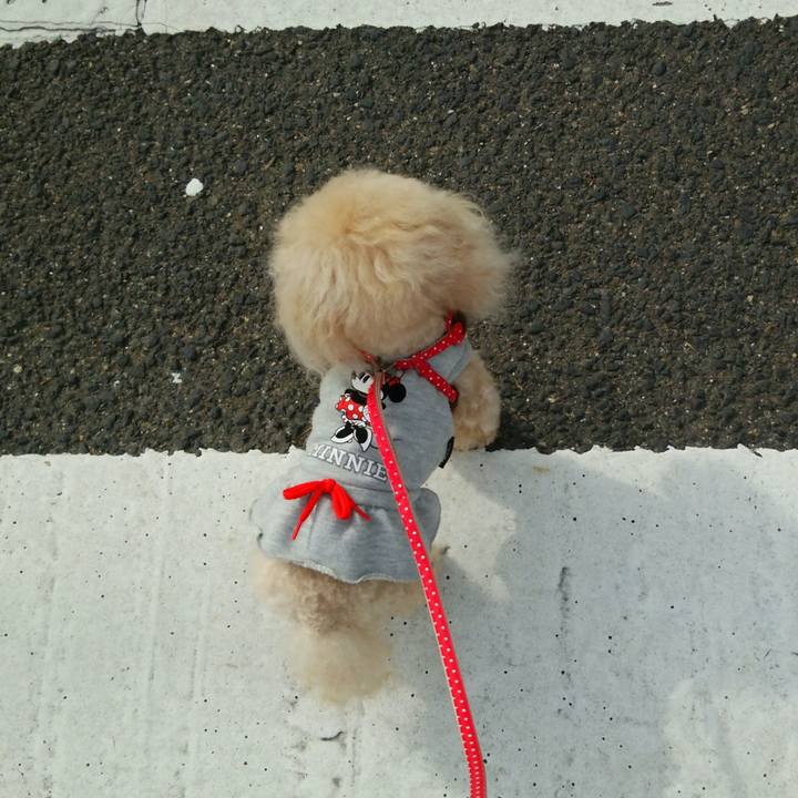 4d744b35 202a 4f84 b5c7 846acc3c89a7 1539602830079