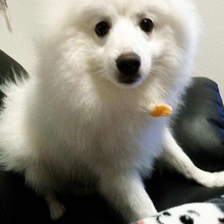 4d74606d 70c4 4527 8cb5 c7bf6148a7bf 1559999942213